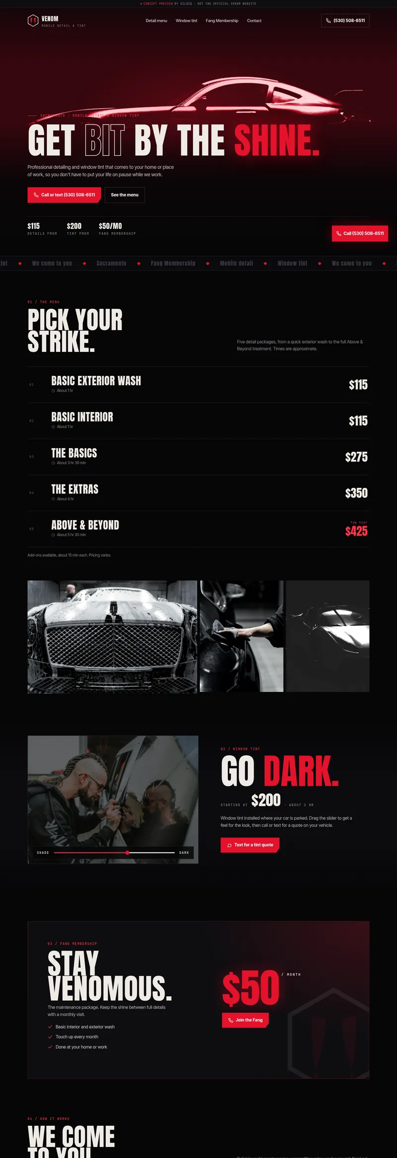 Full page screenshot of the Venom Mobile Detail and Tint preview site
